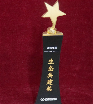 2025年百度营销生态共建奖