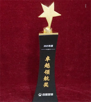 2025年百度营销************奖